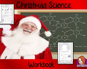 Christmas Science Workbook - Teaching Resources