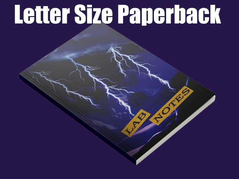 May include: A paperback notebook with a black cover featuring a lightning bolt design and the text "LAB NOTES" in gold lettering.