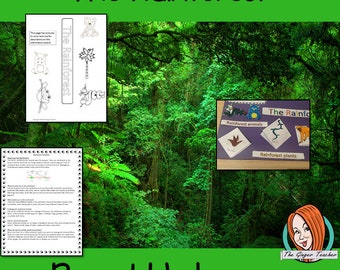 Rainforest Round Up Complete Lesson - Teaching Resources