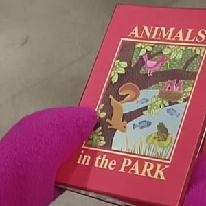 May include: A red book titled "ANIMALS in the PARK" is held by a person wearing a purple glove. The book cover features a colorful illustration of a squirrel, birds, fish, and a frog in a park setting. The book is slightly angled.
