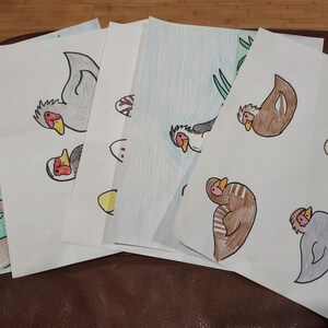 Muscovy Duck Coloring and Info Pages for Children— 5 Coloring Pages, 5 ...