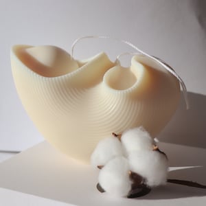 Könnte beinhalten: Eine weiße, muschelförmige Kerze mit einer strukturierten Oberfläche. Die Kerze steht auf einer weißen Oberfläche mit einem Zweig weißer Baumwolle.