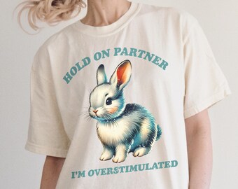 Maglietta divertente retrò Comfort Colors, maglietta iperstimolata, maglietta meme sarcastica sulla salute mentale, maglietta ironica Weirdcore squilibrata anni '90, regalo per un amico