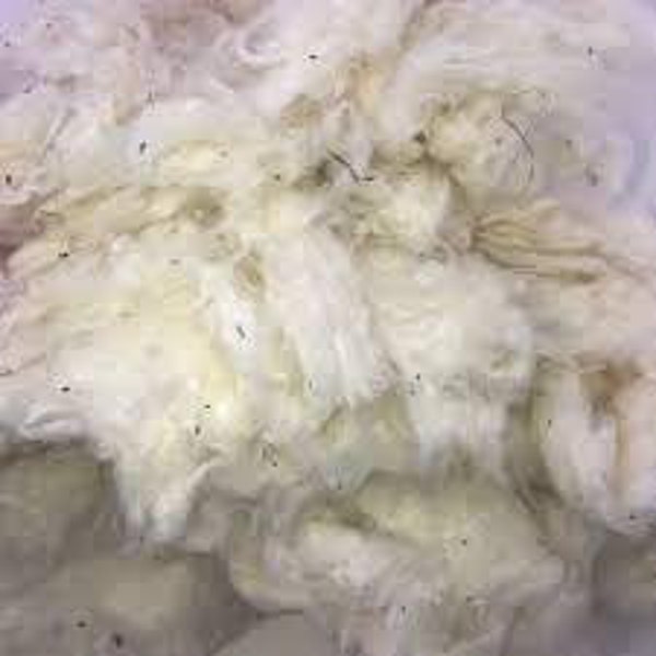 Desi Cotton, Raw Cotton, Natural Color for Puja and Craft Purpose, Unprocessed Cotton for Making Wicks, Organic Cotton, Natural Cotton