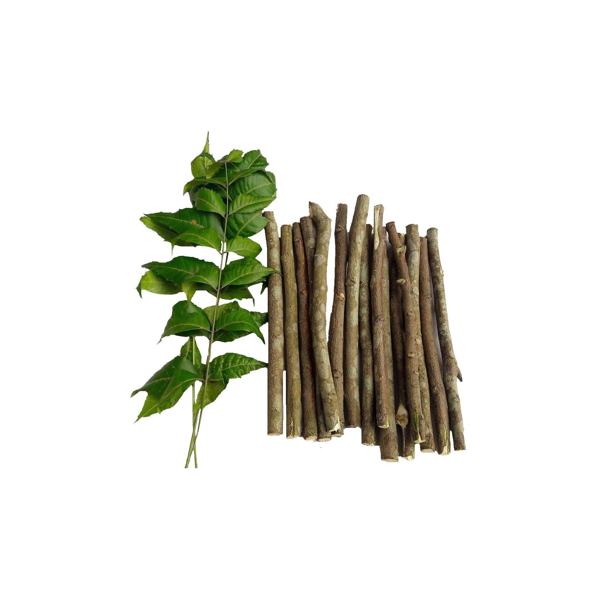Cherry tree twigs, craft sticks and branches, twig craft supplies, natural  craft supplies, florist's supply