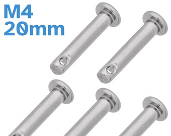 20 Perni A Testa Piana Con Foro Singolo - Acciaio Inox 304, 4x20 Mm, Per Serrature, Cerniere, Progetti Fai-da-te