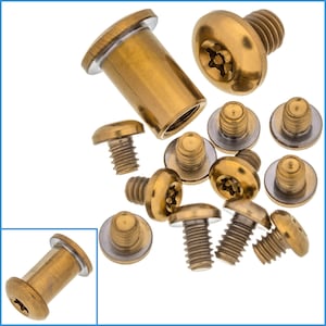 May include: A set of gold-toned screws with hexagonal heads and a star-shaped indentation. The screws are arranged in a variety of positions on a white background.