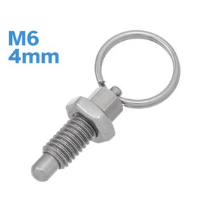 Puede incluir: Un pestillo de metal plateado con un diámetro de 4 mm y una rosca de M6. El pestillo tiene un anillo unido a la parte superior.