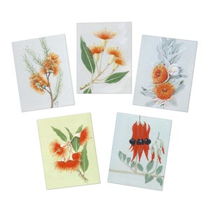 Biglietti d'auguri con stampa di flora australiana (confezione da 5)