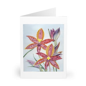 Grandes cartões de felicitações com estampa de orquídeas australianas (WA) Queen of Sheba (pacote com 5)