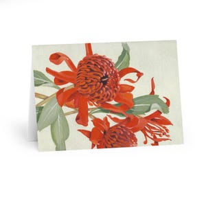 Large Borderless Australian (NSW) Waratah Flora Print Greeting Cards (5 Pack)