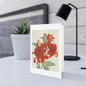 Australian (NSW) Waratah Flora Print Greeting Card