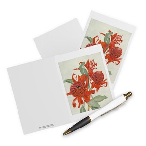 Große australische (NSW) Waratah Flora Print Grußkarten (5er Pack)