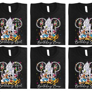 Sudadera de cumpleaños de Disneyland, camiseta de Mickey y sus amigos, camiseta familiar de cumpleaños de Disney, camiseta de fiesta de cumpleaños de Disneyland