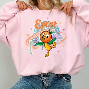 Disneyland Epcot Orange Bird Shirt, Disney Sunshine Bird T-Shirt, Disneyland Epcot Trip Matching Tee, Disneyland Family Vacation Gift Shirt