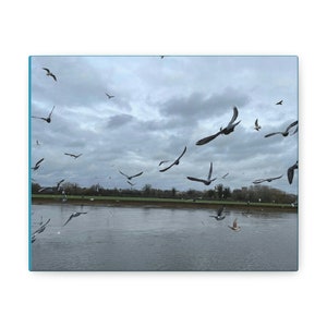 Canvas Nature