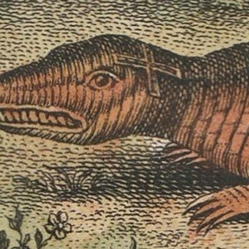 A very rare, original water coloured etching of two lizards shops by Johann Joachim Schwabe (1749) - First edition