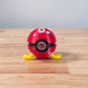 Ballo a tema Shuckle