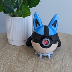 Baile Temático Lucario