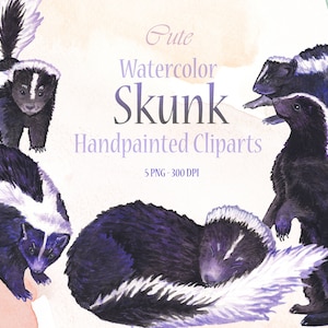 Ensemble de 5 adorables cliparts de mouffettes peints à l'aquarelle - Illustrations uniques pour vos créations artistiques