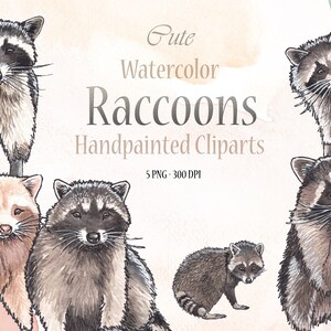5 Cliparts Raton-Laveur Aquarelle – Illustrations Animales Numériques PNG – Dessins Mignons à Télécharger pour DIY & Scrapbooking
