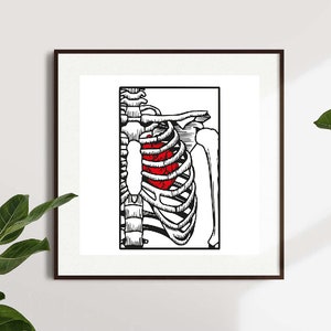 skeleton love with heart, PRINTABLE, digital download, ILY, February 14. Skeleton love, gift, card, picture. jpeg, png, pdf