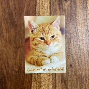 10, 20 ,50 oder 100 NH Karten, JW Dienst, JW Geschenk, Wer hat es erfunden? Katze