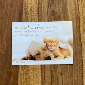 JW 2 Postkarten, Freunde, Hund, Katze, JW Geschenk
