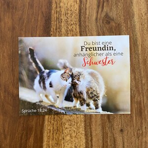 JW 2 Postkarten , JW Geschenk, Freundin, Schwester, Katzen