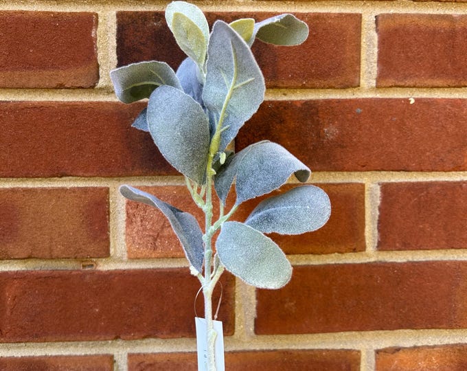 Lambs Ear Light Frost 13.5”, Wreath Decoration
