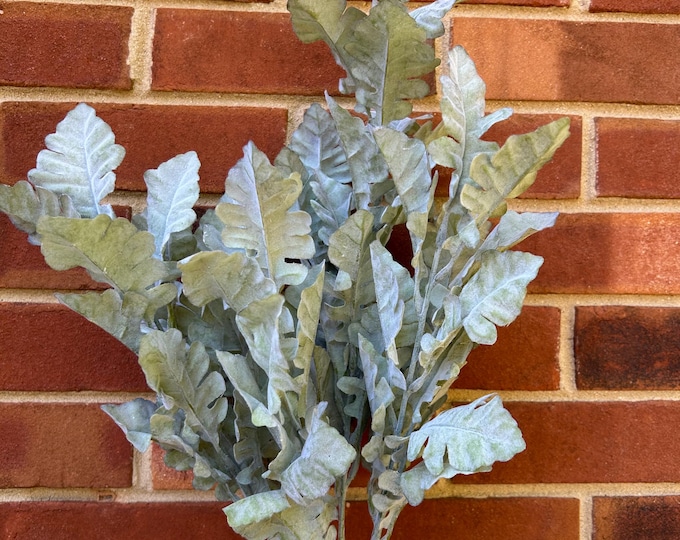 Lambs Ear Light Frost 20”, Wreath Decoration