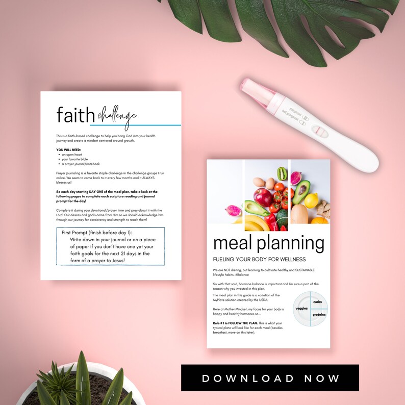 21 Day Challenge for Fertility Faith Journal Challenge Meal Planning Healthy Habits Fertility Diet image 2