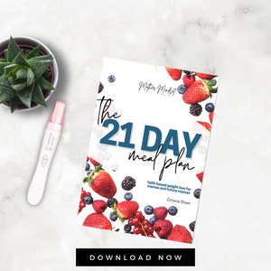 21 Day Challenge for Fertility Faith Journal Challenge Meal Planning Healthy Habits Fertility Diet image 1