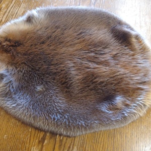 Beaver hide