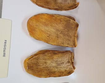 May include: Four oval-shaped, dried, golden-brown fish skin pieces with a distinct scaly texture arranged vertically. To the left, a white rectangular tag features the word FRIGIDAIRE printed in black capital letters.