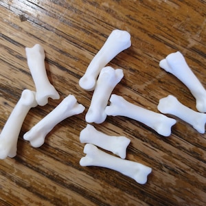 May include: A collection of ten white, smooth, bone-like objects, likely animal bones, arranged on a wooden surface.