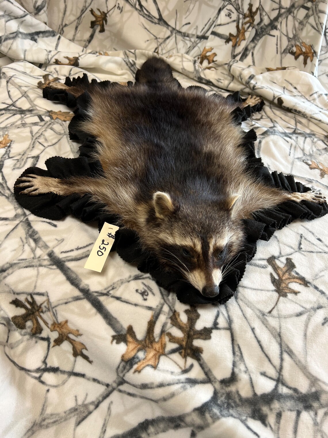 Raccoon Rug With Mounted Head - Etsy