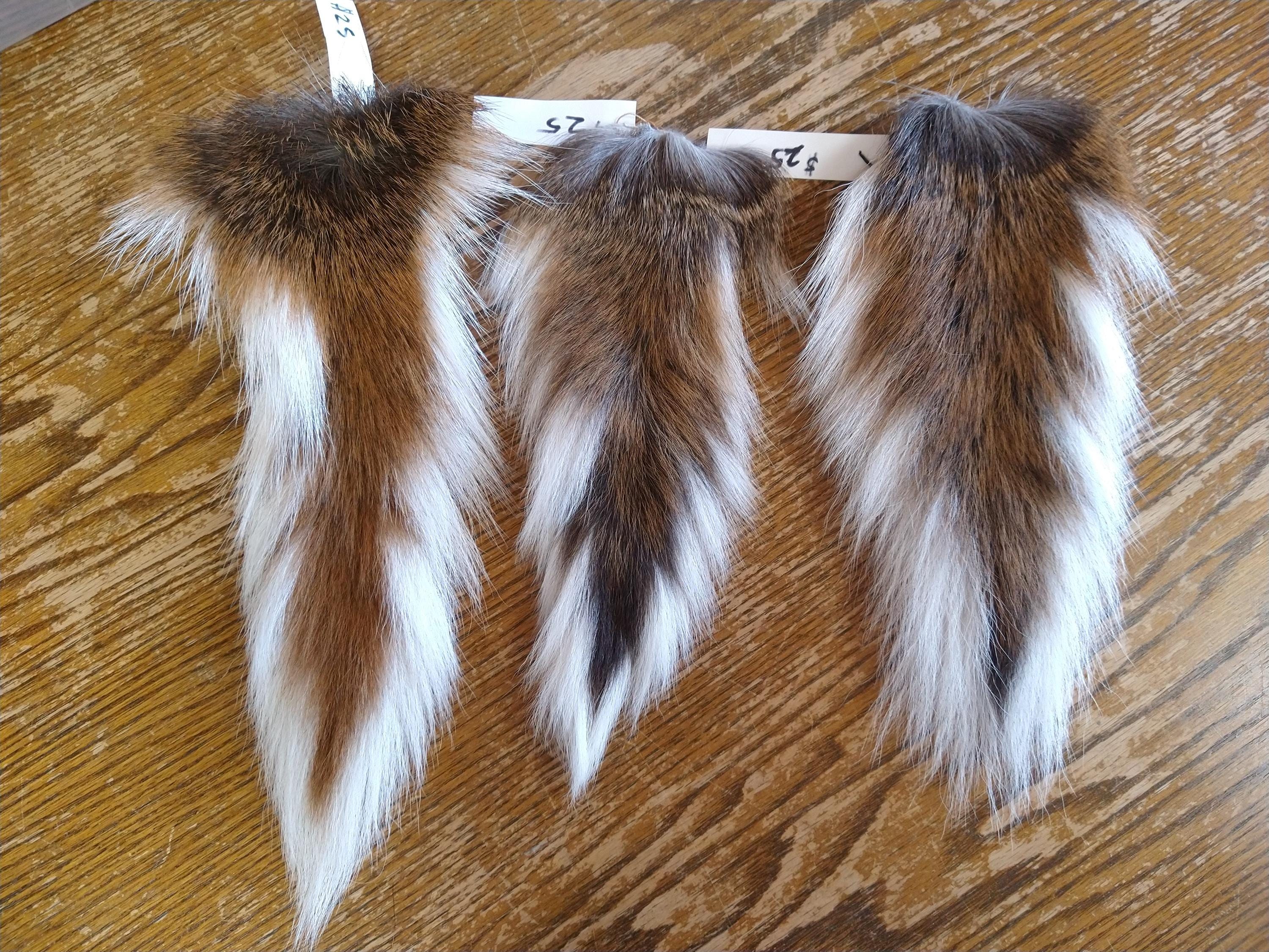 White tail deer, coyote, and raccoon tails