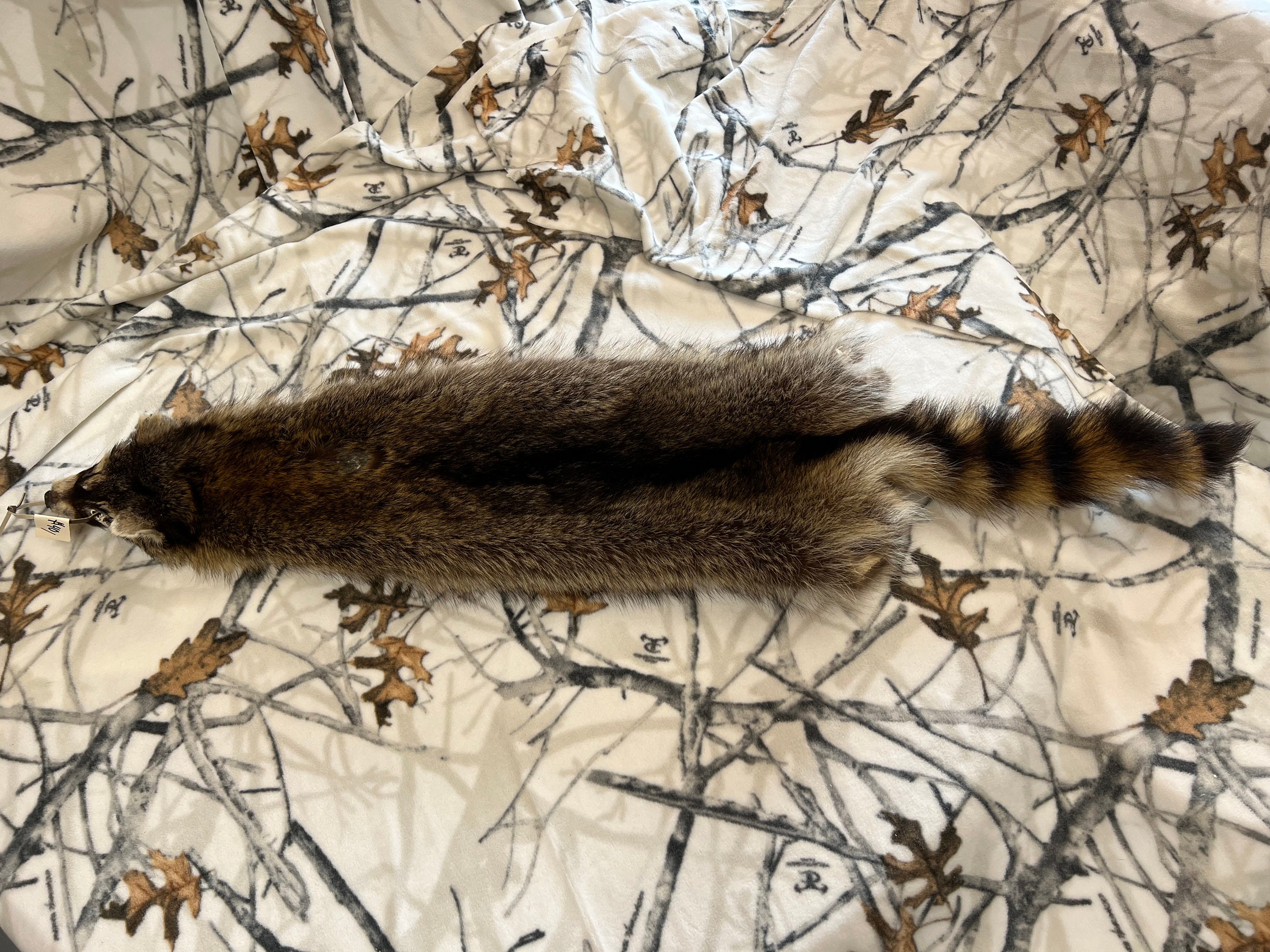 Raccoon Pelt Etsy