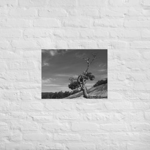 Stone Mountain Summit North Carolina black and white photo art photography digital photography wall art home and office decor