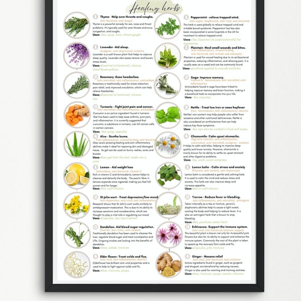 Healing herbs poster /Herbal remedies / digital download A4 / Vegan friendly / natural living herbs sheet