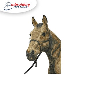 Thoroughbred Horse Embroidery Designs | Horse Machine Embroidery Digital File instant download