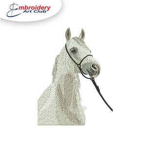 Arabian Horse Embroidery Designs | Horse Machine Embroidery Digital File instant download