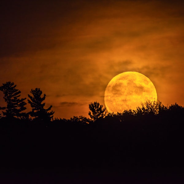 Harvest Moon on the rise, a representation of resilience determination Green Mountain Silhouette Art Photo Print Canvas Paper Metal Acrylic