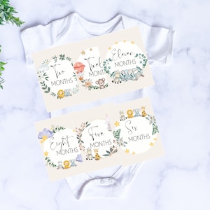 Cartes d'étape mensuelles neutres | Cartes d'étape mensuelles imprimables | Carte d'étape de bébé | Cadeau Babyshower | Ensemble de cartes Milestone 1-12 mois