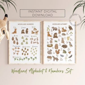 Wald Alphabet und Zahlen |Waldtiere Kinderzimmer |Waldland ABC und Zahlen Set |Wald Alphabet Druck |Waldtiere Zahlen Druck