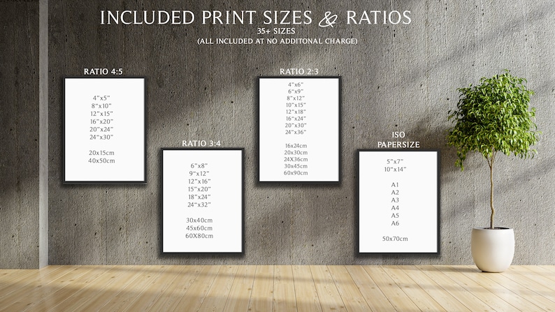 May include: Image showing print size options and ratios, including 4x5, 2x3, 3x4, and ISO paper sizes. The text includes sizes in inches and centimeters. A potted plant is on the right side of the image.
