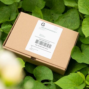 May include: A brown cardboard box with a white label that says "UPS Ground Advantage" and has a barcode with the tracking number "UPS Tracking # 4705 8200 1987 0841 0333 1704 67".