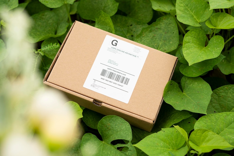 May include: A brown cardboard box with a white label that says "UPS Ground Advantage" and has a barcode with the tracking number "UPS Tracking # 4705 8200 1987 0841 0333 1704 67".