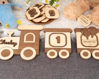 Wooden Baby Milestone Train: Newborn Photo Prop